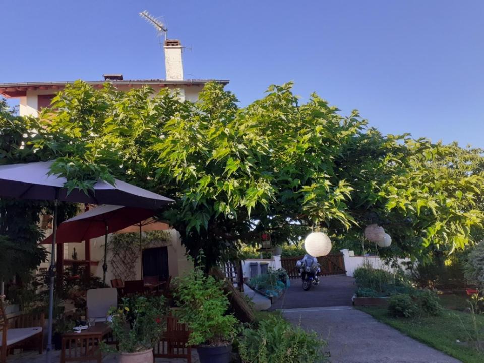 Au Bosquet, Chambre Et Salle De Bains Avec Petit Dejeuner A 600 M Du Centre Dans Un Cadre Calme Et Verdoyant Salies-de-Béarn Kültér fotó