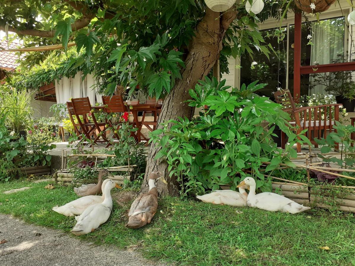Au Bosquet, Chambre Et Salle De Bains Avec Petit Dejeuner A 600 M Du Centre Dans Un Cadre Calme Et Verdoyant Salies-de-Béarn Kültér fotó
