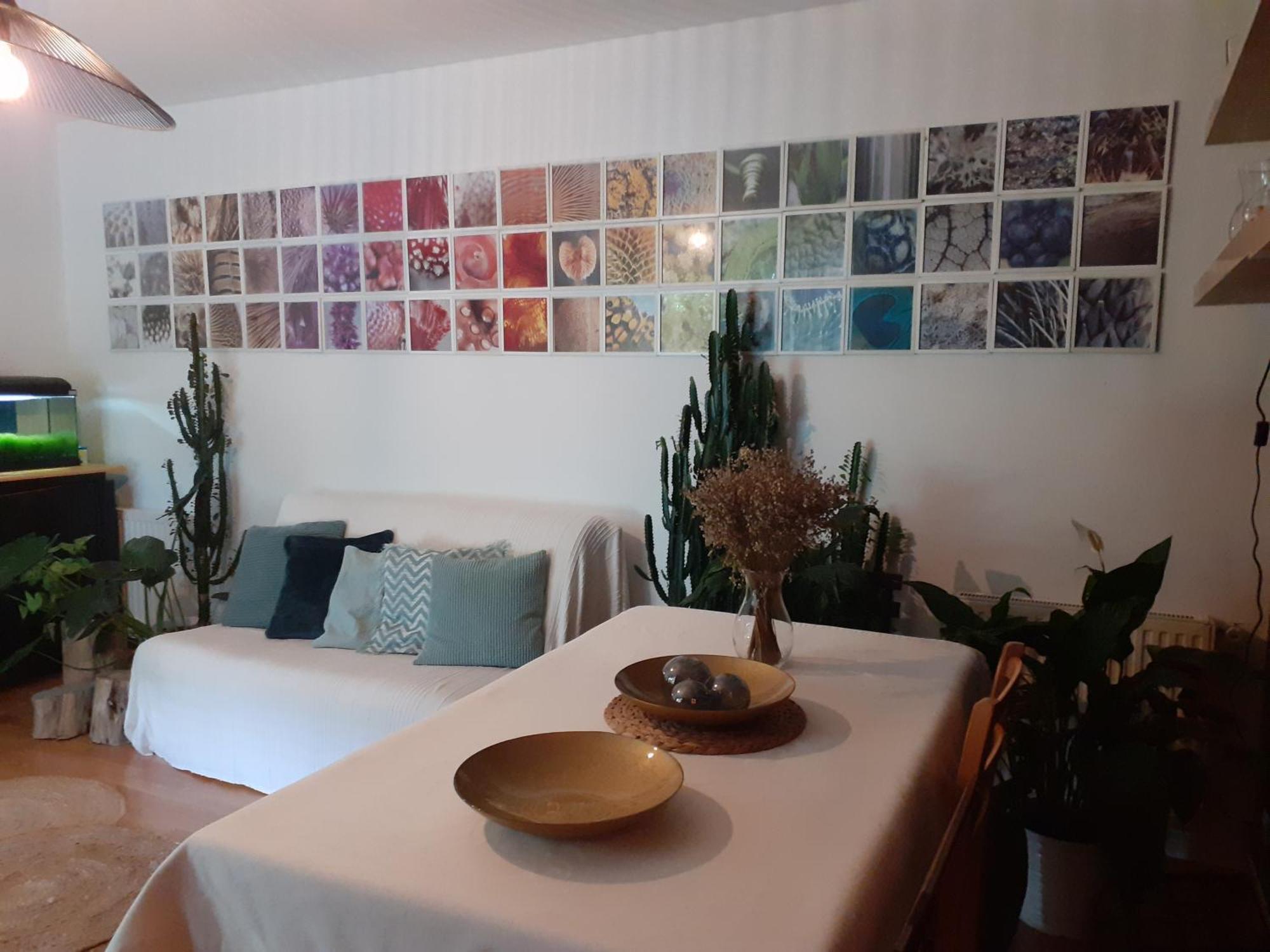 Au Bosquet, Chambre Et Salle De Bains Avec Petit Dejeuner A 600 M Du Centre Dans Un Cadre Calme Et Verdoyant Salies-de-Béarn Kültér fotó